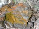 lichen-basaltc~0.jpg