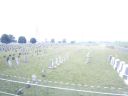 Amish_cemetery.jpg