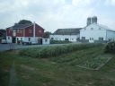 Amish_farm6.jpg