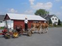 Amish_farmer_on_equipment.jpg