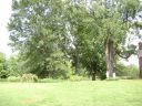 Monticello_grounds7.jpg